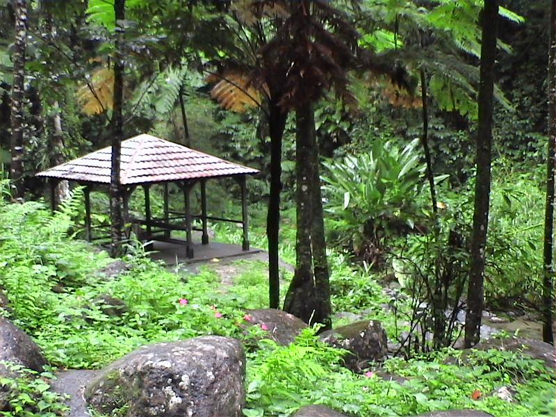 Dvc00145 