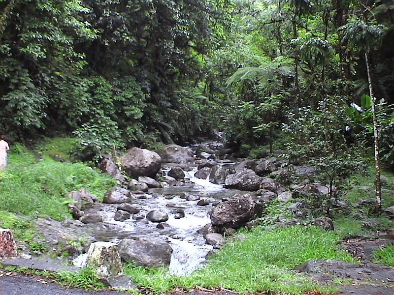 Dvc00146 