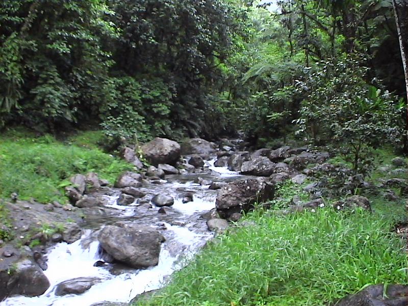 Dvc00147 
