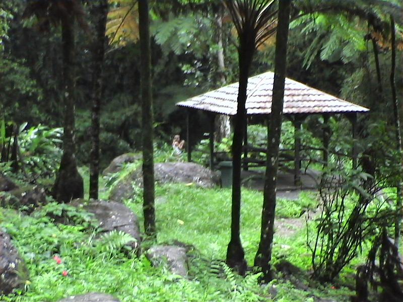 Dvc00150 