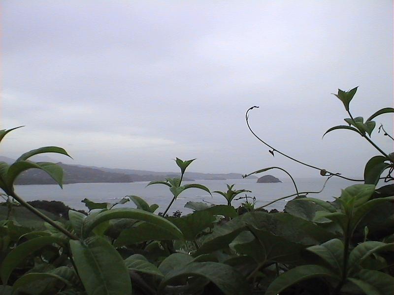 Dvc00179 