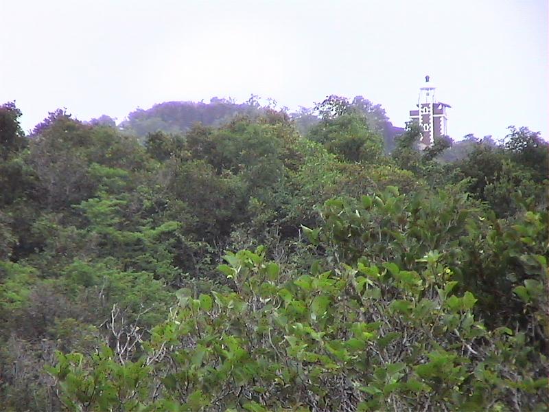 Dvc00182 