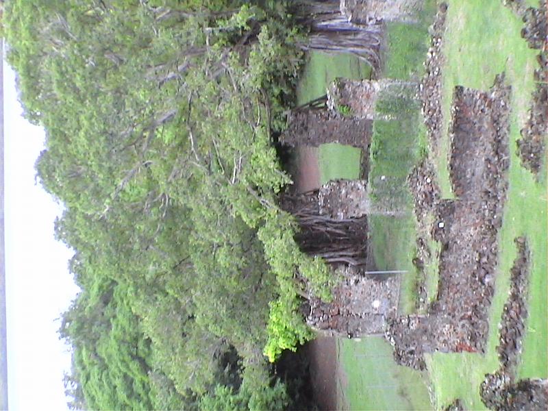 Dvc00188 