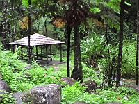Dvc00145 