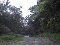 Dvc00154 