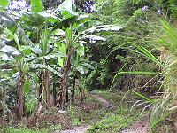 Dvc00162 