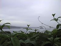 Dvc00179 