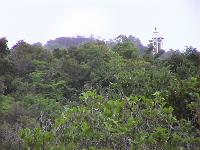 Dvc00182 