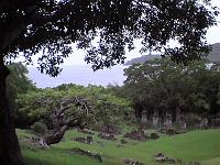 Dvc00195