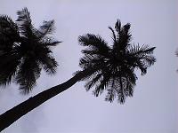 Dvc00202