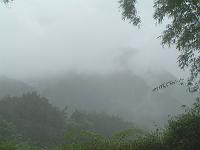 Pict0231