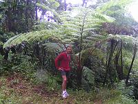 Pict0233