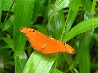 Pict0236