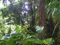 Pict0239