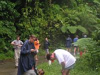 Pict0240