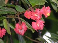 Pict0244
