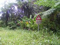 Pict0245