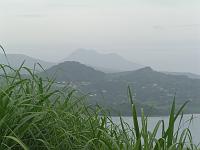Pict256